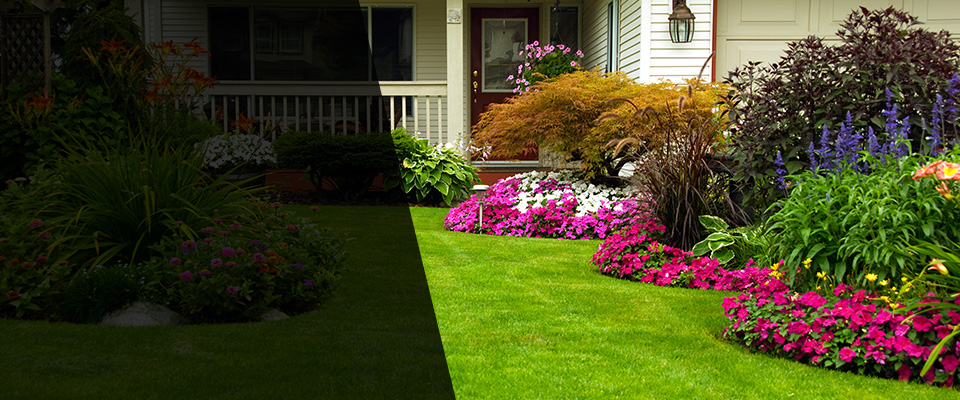 Tustin Landscapers
