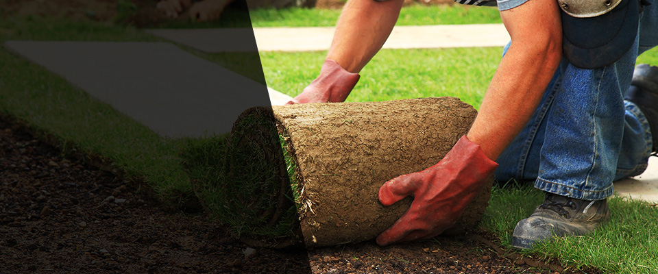 Tustin Landscapers